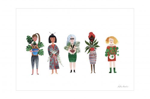 plant cultures